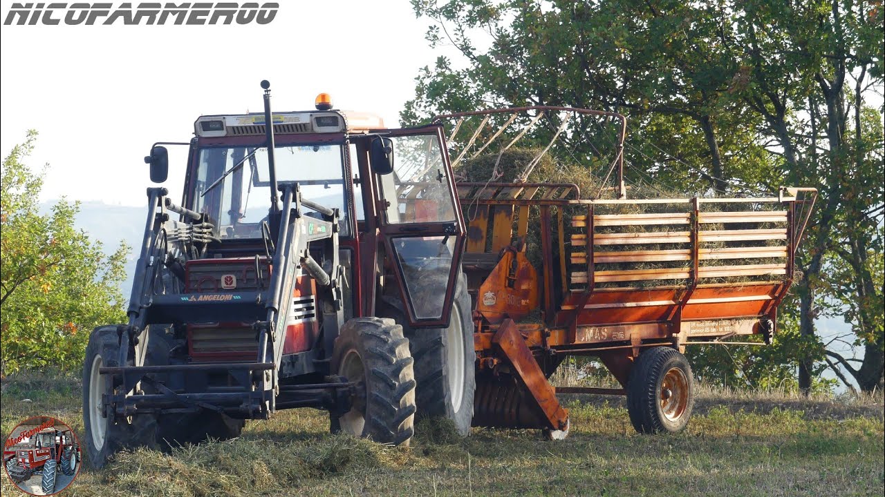 RACCOLTA ERBA FRESCA 2K21 | FIATAGRI 70-90 DT + AUTOCARICANTE OMAS | DI FEBO PAOLO