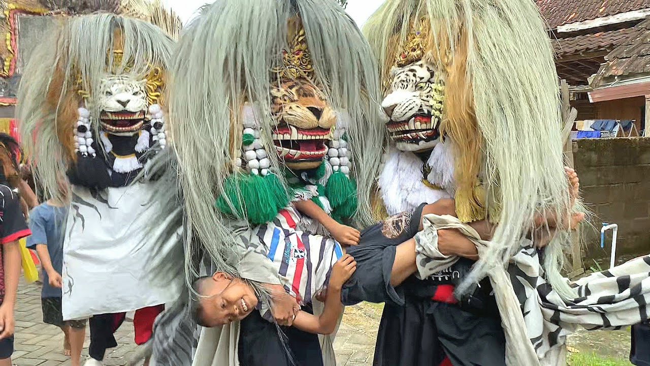 NGAKAK Barongan Ngamuk Pengejek Ketangkap !! GEMBONG AJI JOYO live Kawengan