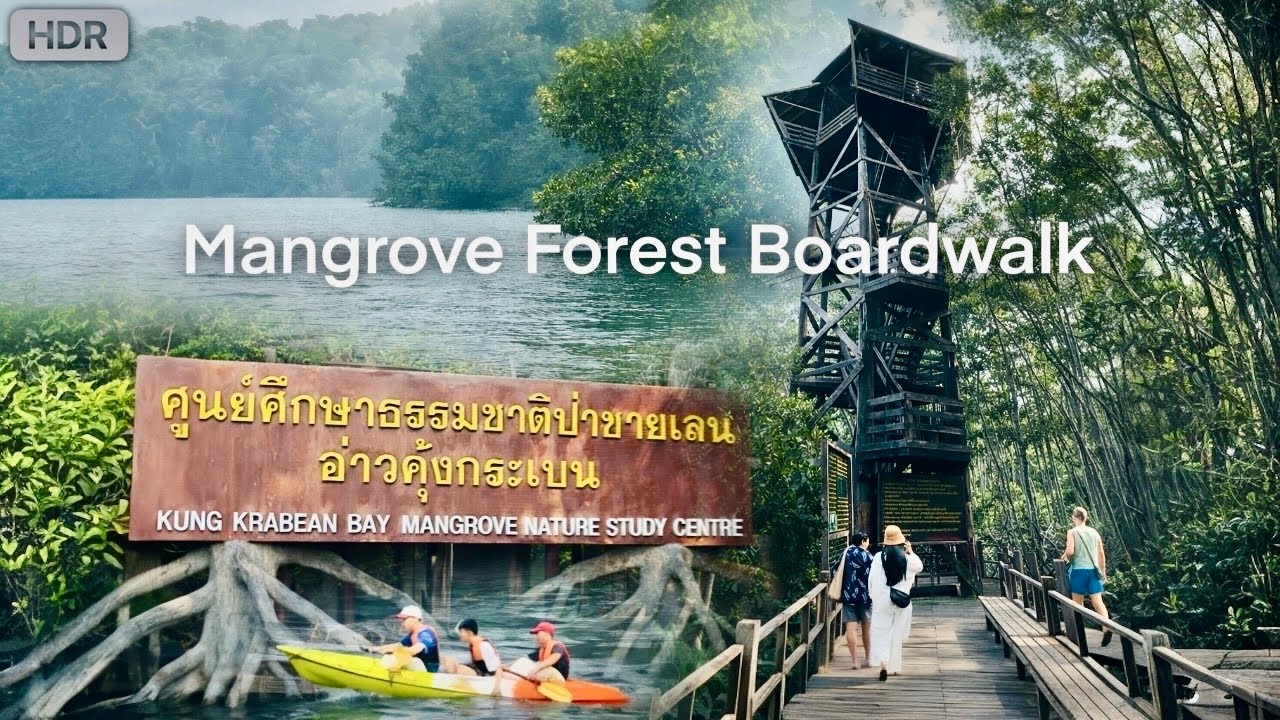 เดินกลางธรรมชาติเรียบทะเลอ่าวคุ้งกระเบน🚶🏻‍♂️🌱 | Mangrove Forest Boardwalk – Peaceful Thailand Walk