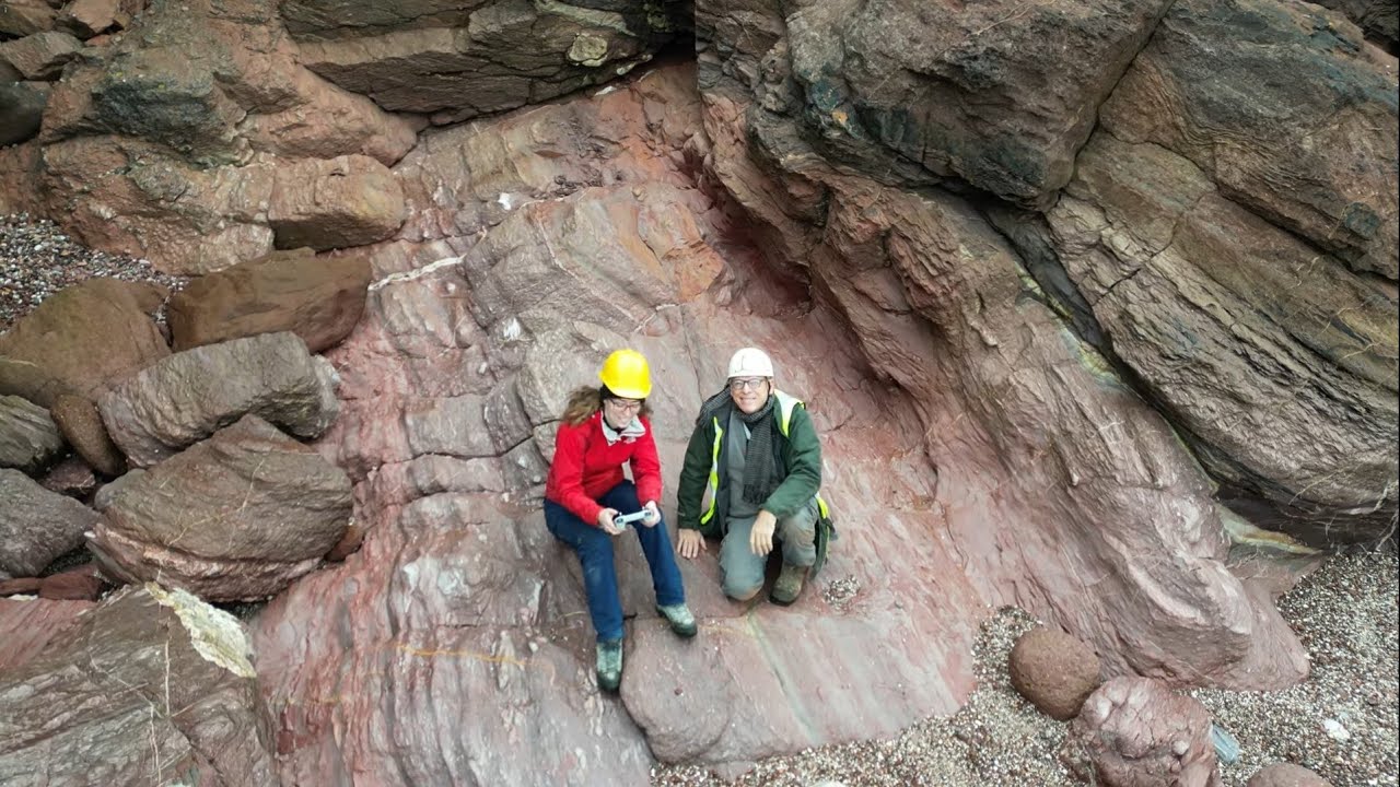 377 Million Year Old Tree Fossil Excavation - English Riviera UNESCO Global Geopark
