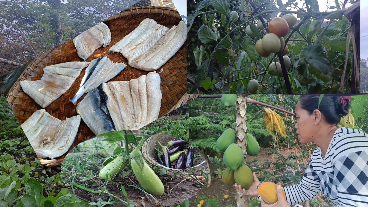 Nagdaing ng isda at nag harvest ng mga gulay