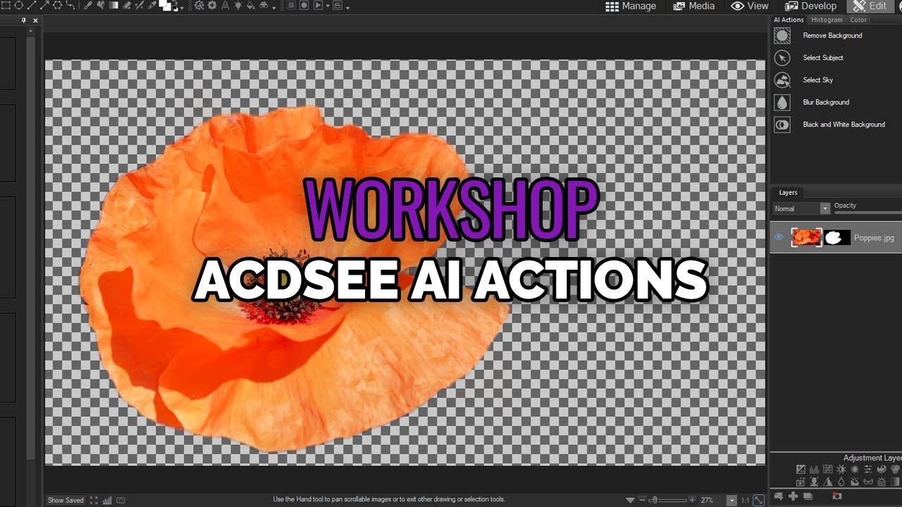 Workshop - Getting the most out of ACDSee AI Actions