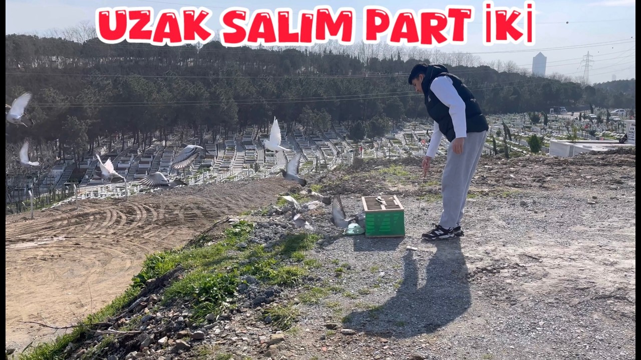 UZAK SALIM PART İKİ ( GEÇMİŞ OLSUN KUŞLAR GİTTİ ) 😭