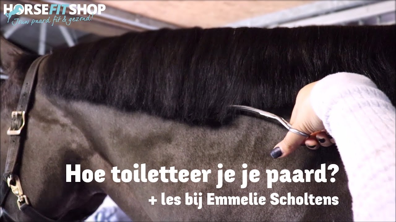 Hoe toiletteer je je paard? | Les bij Emmelie Scholtens | Vlog #3 | HorseFitShop