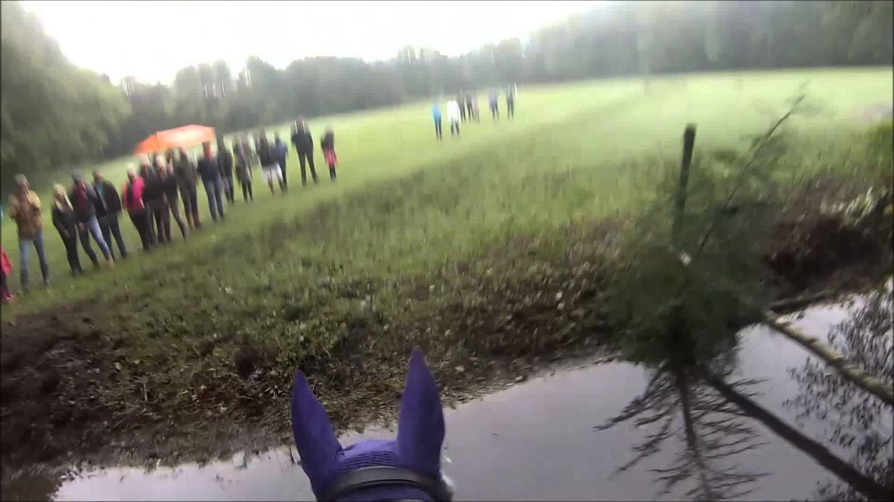 SGW Hattem 2015 klasse L paarden