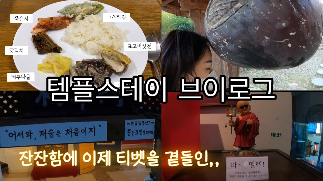 구례 천은사&보성 대원사 템플스테이 브이로그 Korean Temple Stay Vlog