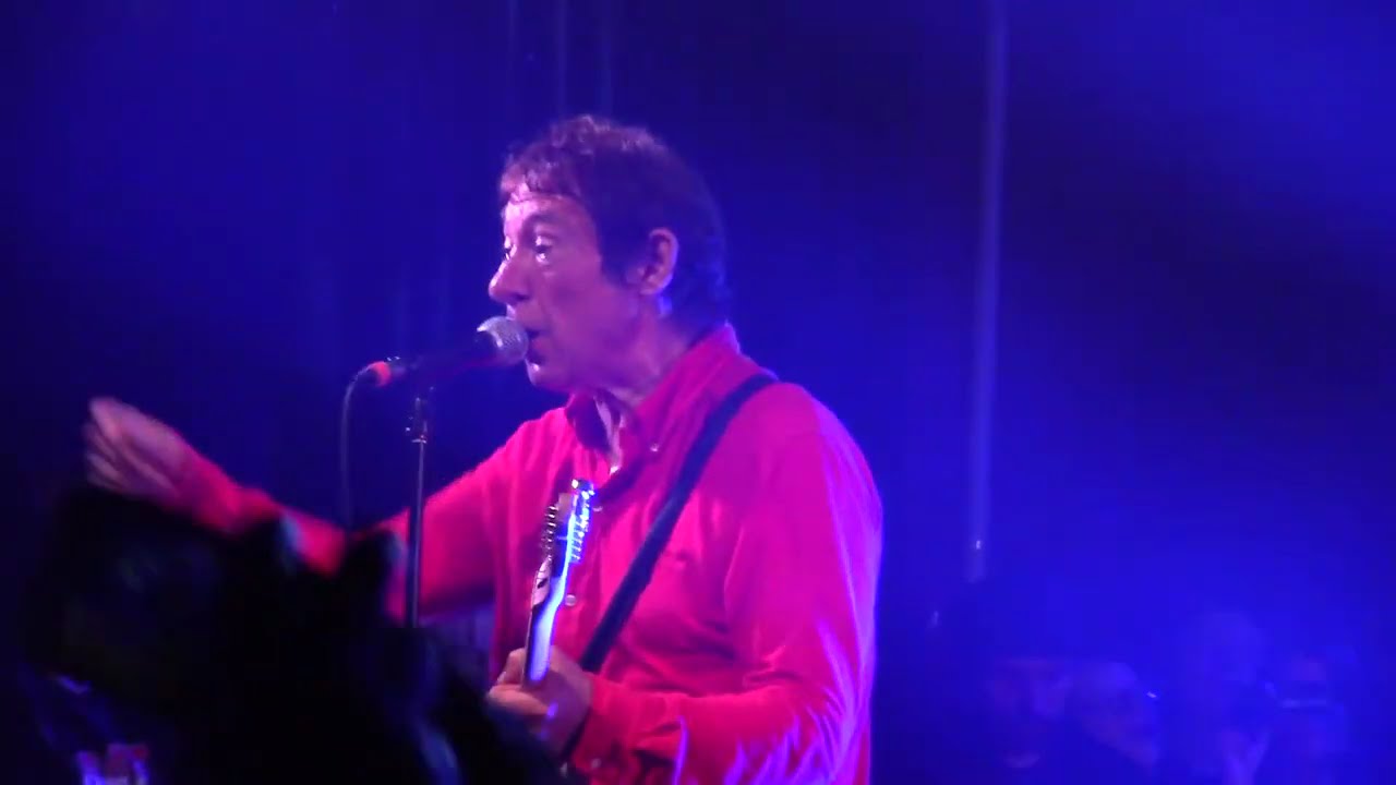 Buzzcocks - Harmony in My Head (Punk And Disorderly 2017 Berlin) [HD]