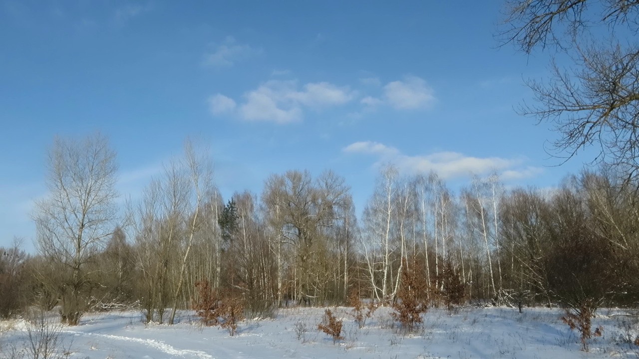 По глубокому снегу. 17 февраля