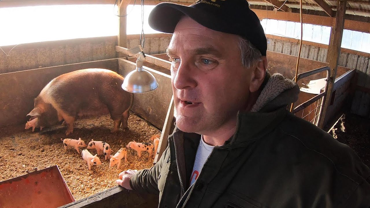 It's Just Life on a Farm