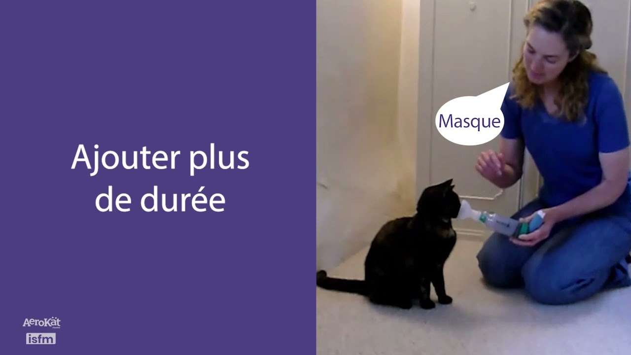 Unterrichten Sie jeder Katze AeroKat* - 5: Inhalation des Medikaments