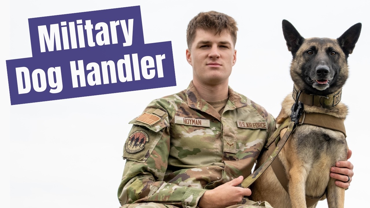 Do Not Pet - Air Force Military Working Dogs MWD | Security Forces (3P0X1A)