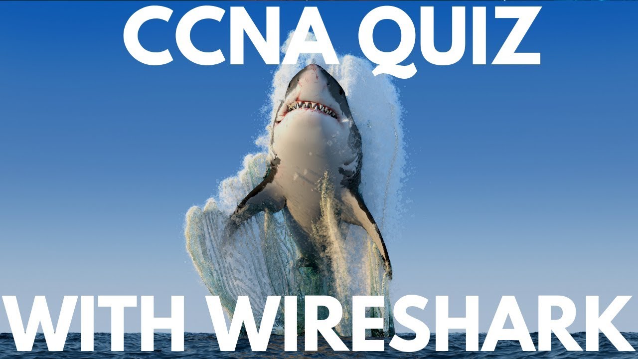 CCNA Quiz: The OSI model with Wireshark captures. Can you answer these quiz questions?