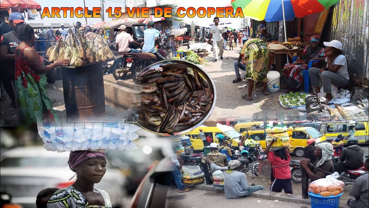 ARTICLE 15, BOTALA VIE YABA COOPÉRA NA COMMUNE YA N'SELE TERRE JAUNE 