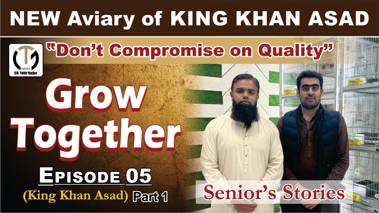 New Aviary Of King Khan Asad | Grow Together | Senior's Stories | Ch Tahir Gujjar | CTG Aviary Fsd