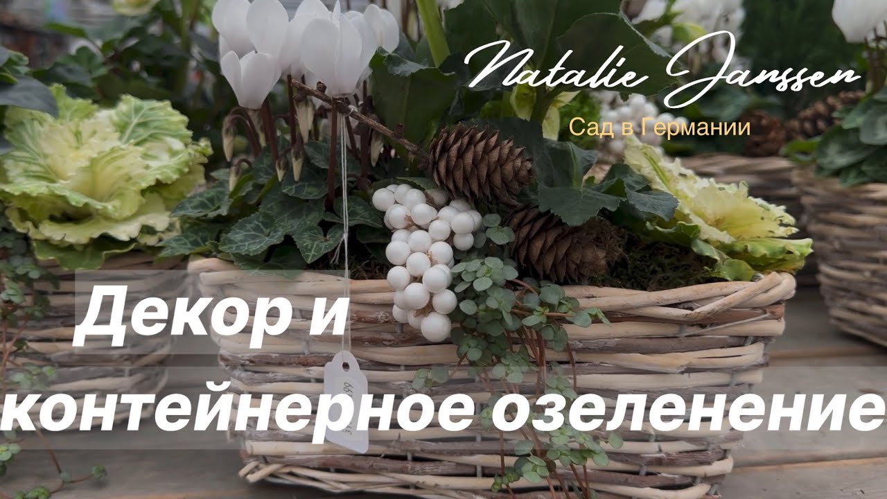 Контейнерное озеленение ОСЕНИ 🍁 ДЕКОР 🍁 Садовые центры Германии 🍁