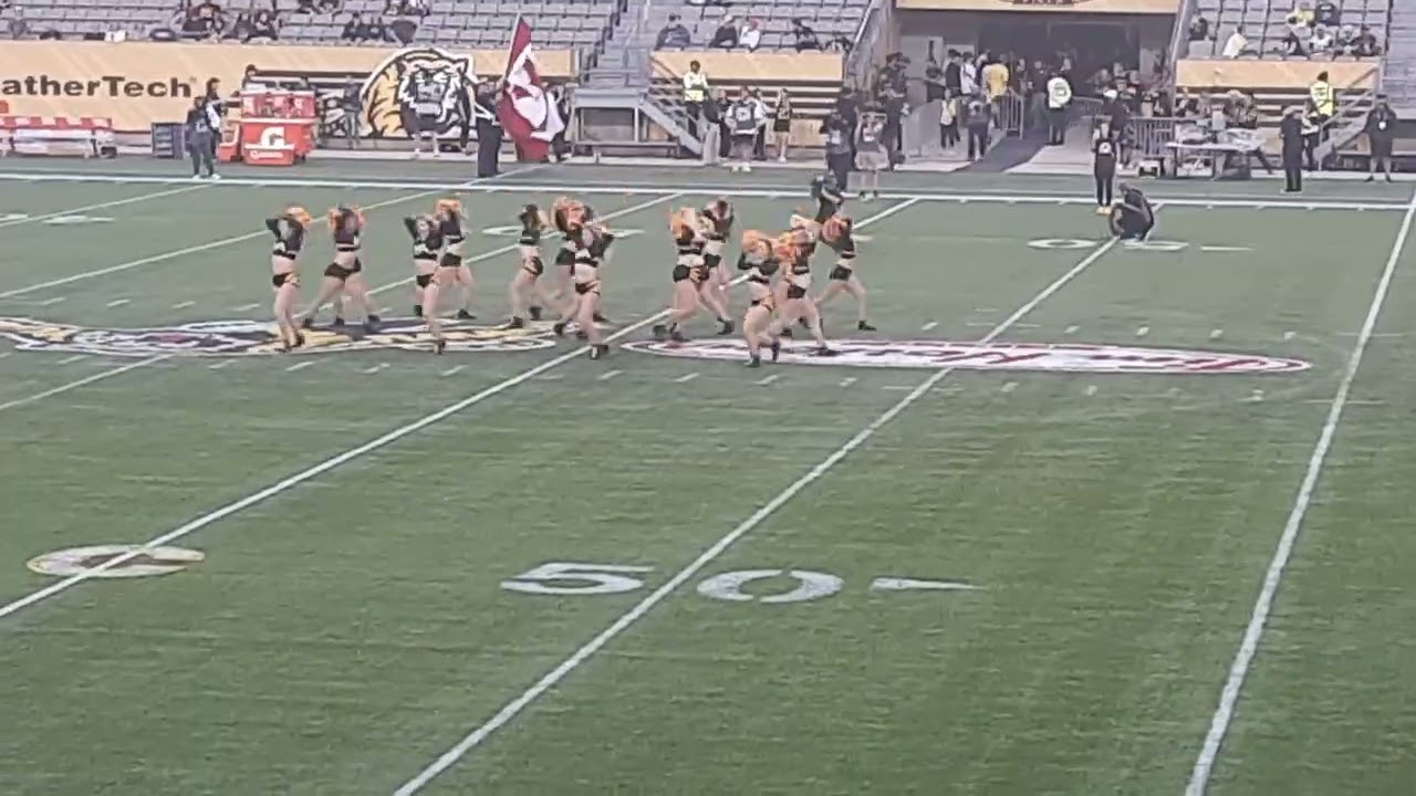Tigercats Dance And Cheer Team 8/17/23