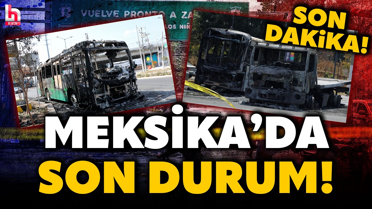 MEKSİKA'DAN HALK TV'YE CANLI BAĞLANTI! Uluslararası İlişkiler Uzmanı Talya İşcan son durumu aktardı!
