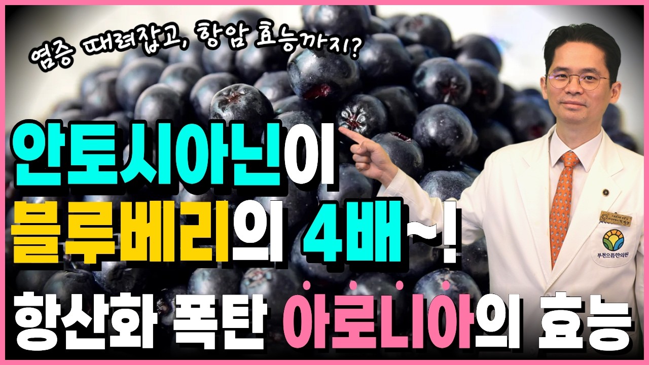 아로니아, 그냥 먹지 마세요! 효능 200% 높이는 섭취법과 주의사항 총정리
