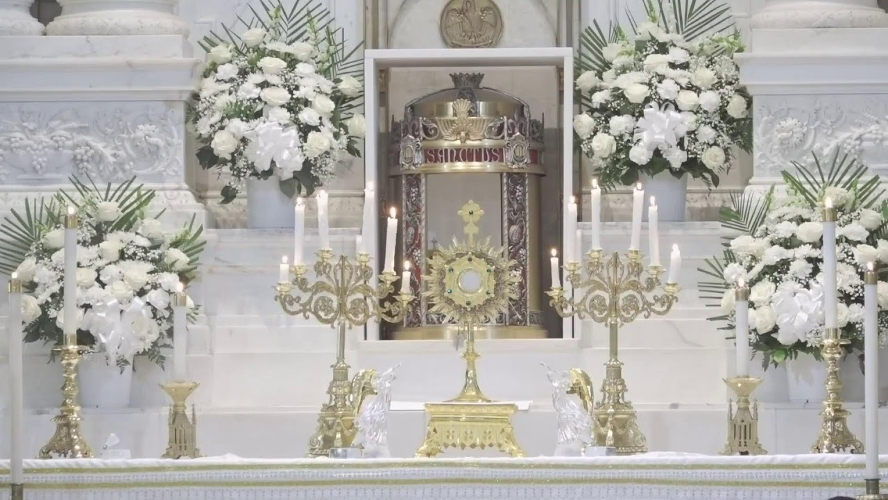 Presencia Sanadora y Liberadora de Jesús.