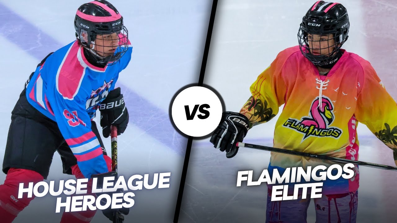3on3 Classic - Season 9 - House League Heroes vs Flamingos Elite