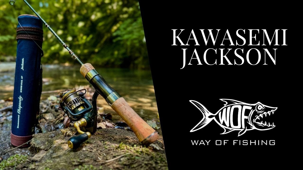Présentation de la Kawasemi Rhapsody de Jackson