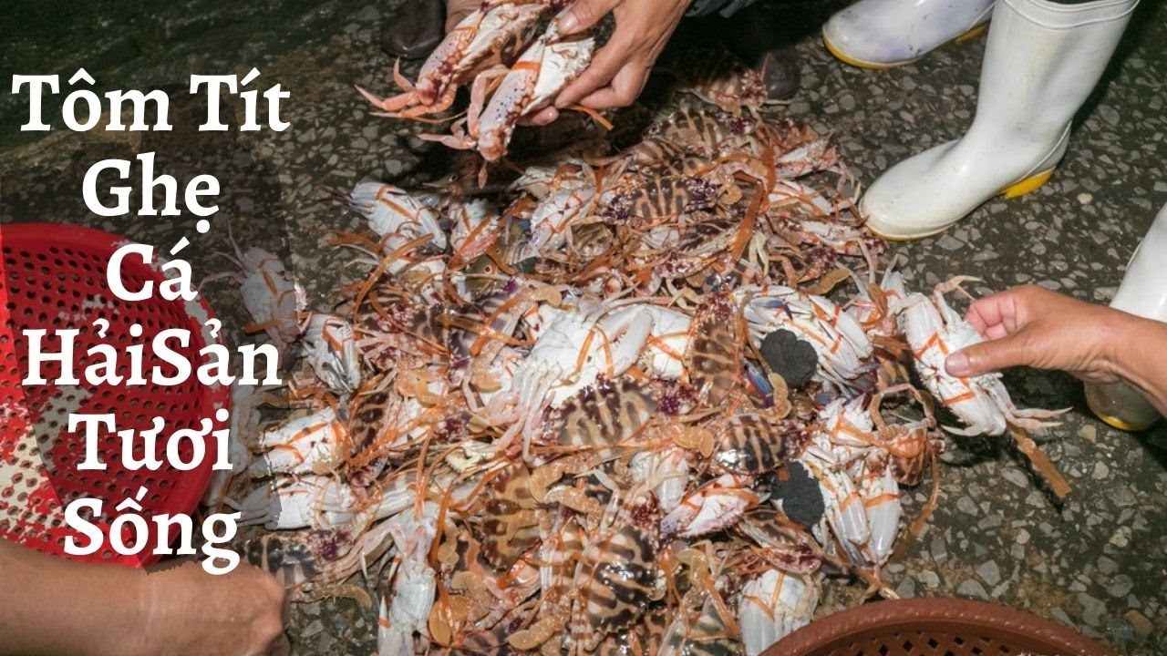 Chuyến Đi Biển Đánh Cá Đầu Tiên Trong Đời Thực Sự Đáng Nhớ