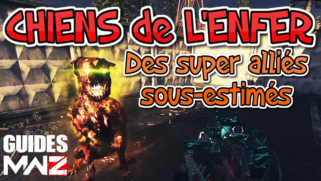 MWZ (Guides) - Les Chiens de l'Enfer (tout savoir sur ces alliés précieux en zombie...)