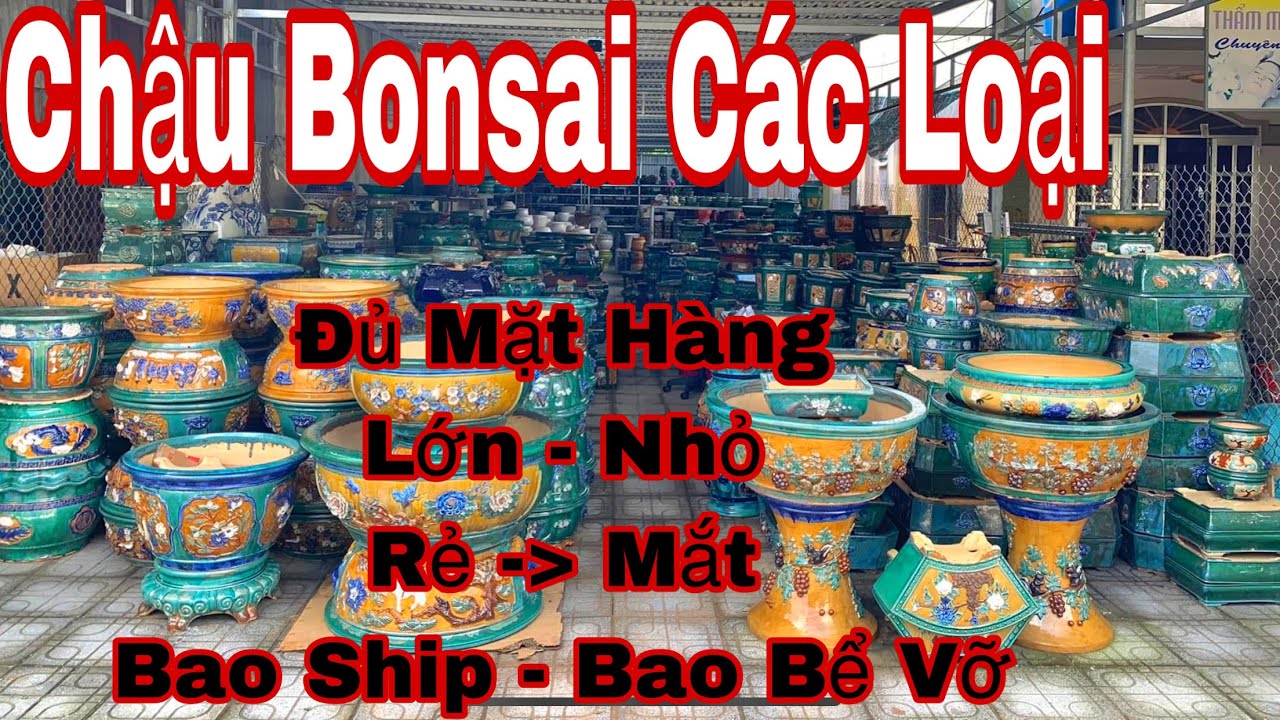 chậu kiểng bonsai - 0932173347 Trung _  khu bán chậu ở bến tre vĩnh thành - đầy đủ loại chậu lớn nhỏ