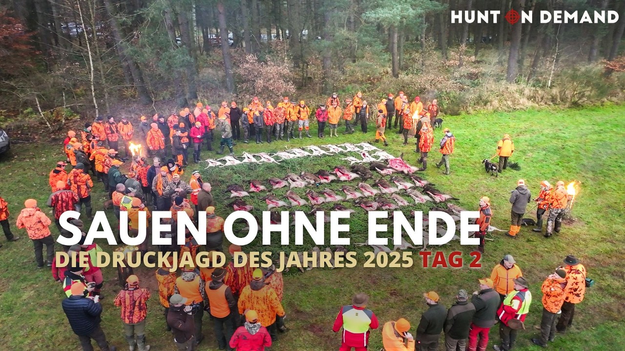🐗🐗 SAUEN OHNE ENDE 🐗🐗 &ndash; DIE DR&Uuml;CKJAGD DES JAHRES 2025 Tag 2 &ndash; exklusive Ausschnitte &ndash; Hunt on Demand