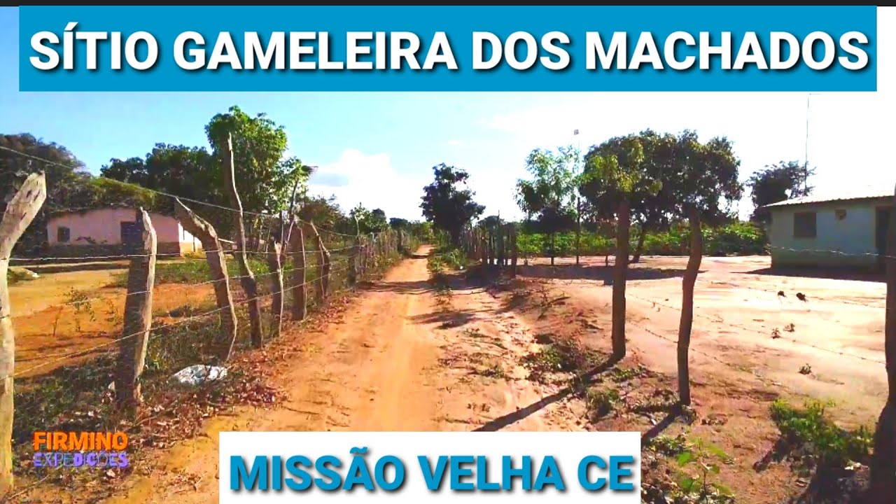 SITIO SERRA DA GAMELEIRA DOS MACHADOS  MISSÃO VELHA CEARÁ