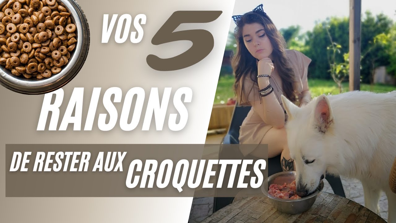 VOILÀ POURQUOI VOUS AVEZ PEUR D'ARRÊTER LES CROQUETTES
