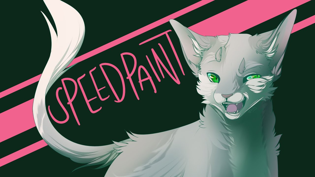 [warriors speedpaint] too loud // needletail