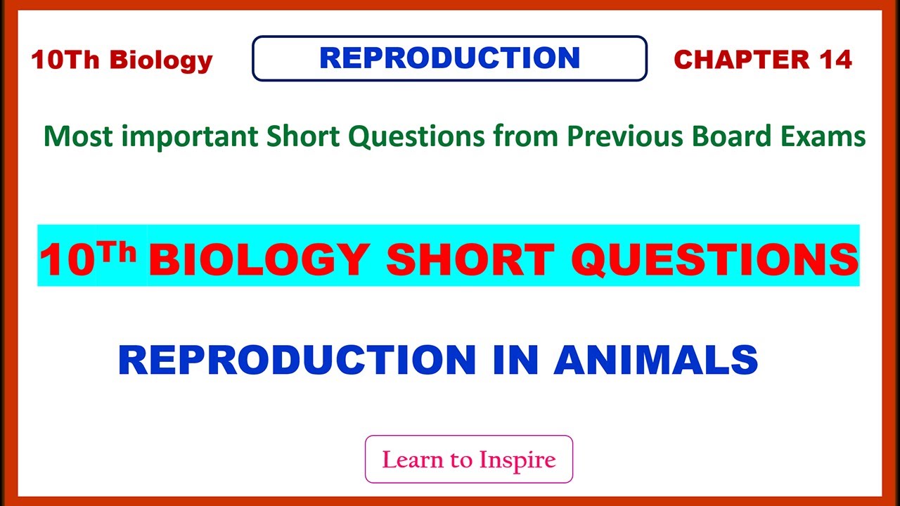 Reproduction in animals. Short Questions.10Biology Chapter 14 Reproduction.#10Biologyshortquestions.