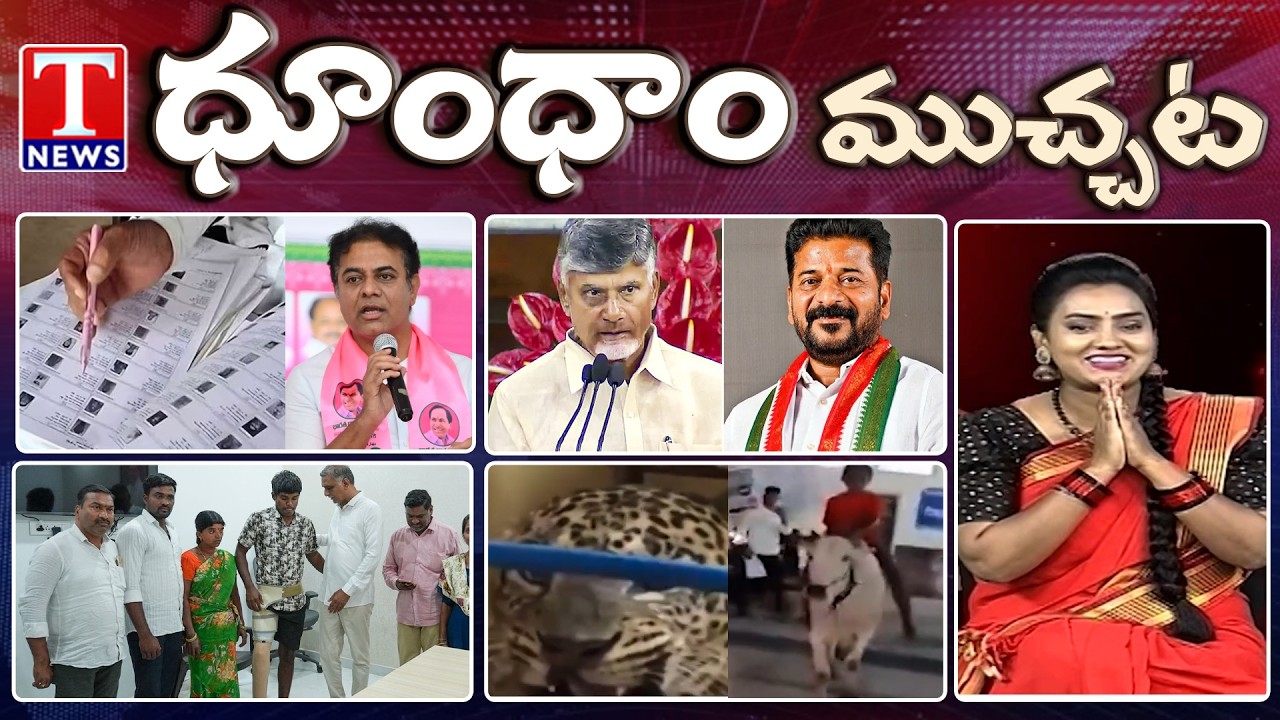 Voter List SIR Process Starts Today | Harish Rao Helping | Cow Halchal | Dhoom Dhaam | T News