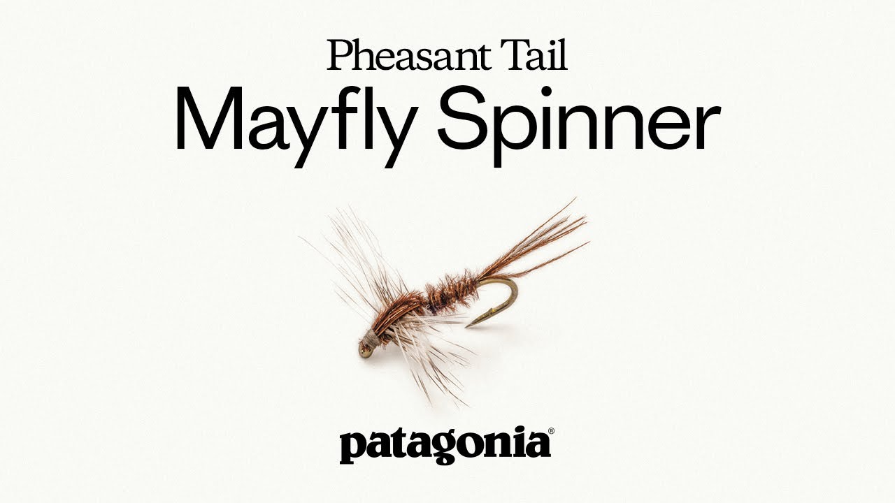 Блесна для ловли подёнок Pheasant Tail от Крейга Мэтьюза | Рецепт мушек