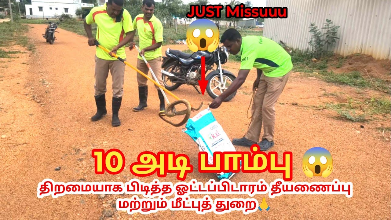 10 அடி பாம்பை திறமையாக பிடித்த ஓட்டப்பிடாரம் தீயணைப்பு மற்றும் மீட்புத் துறை🙏#ottapidaram360 