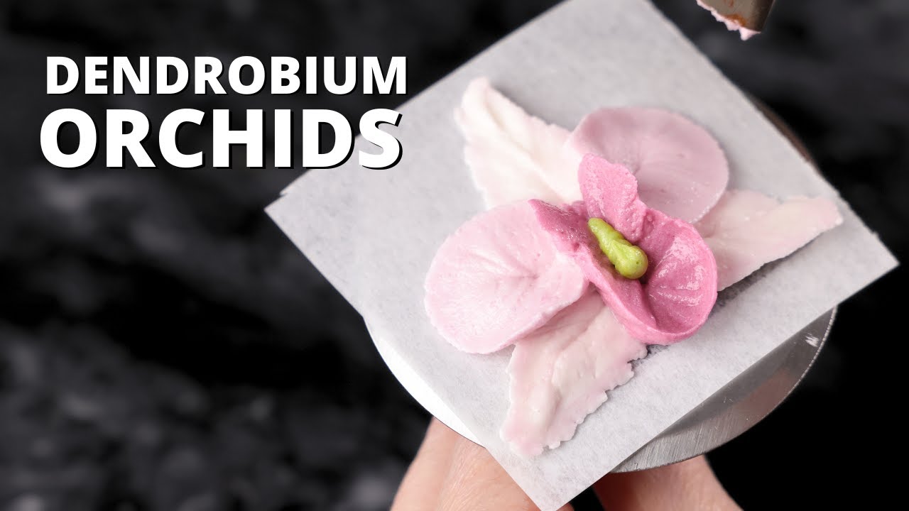 How to pipe buttercream dendrobium orchids  [ Cake Decorating For Beginners ]
