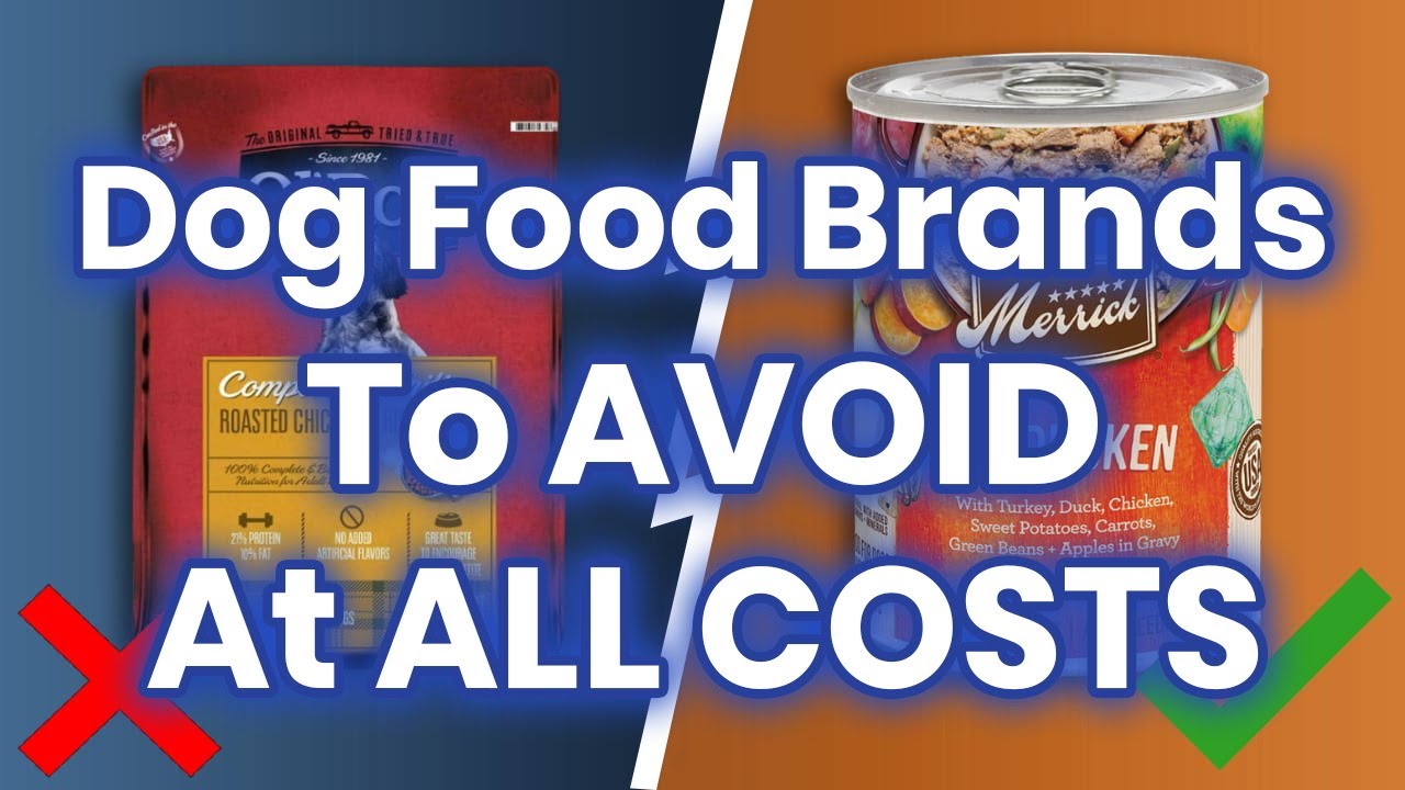 8 Dog Food Brands To AVOID At All COSTS! (And A Few That Are Safe!)