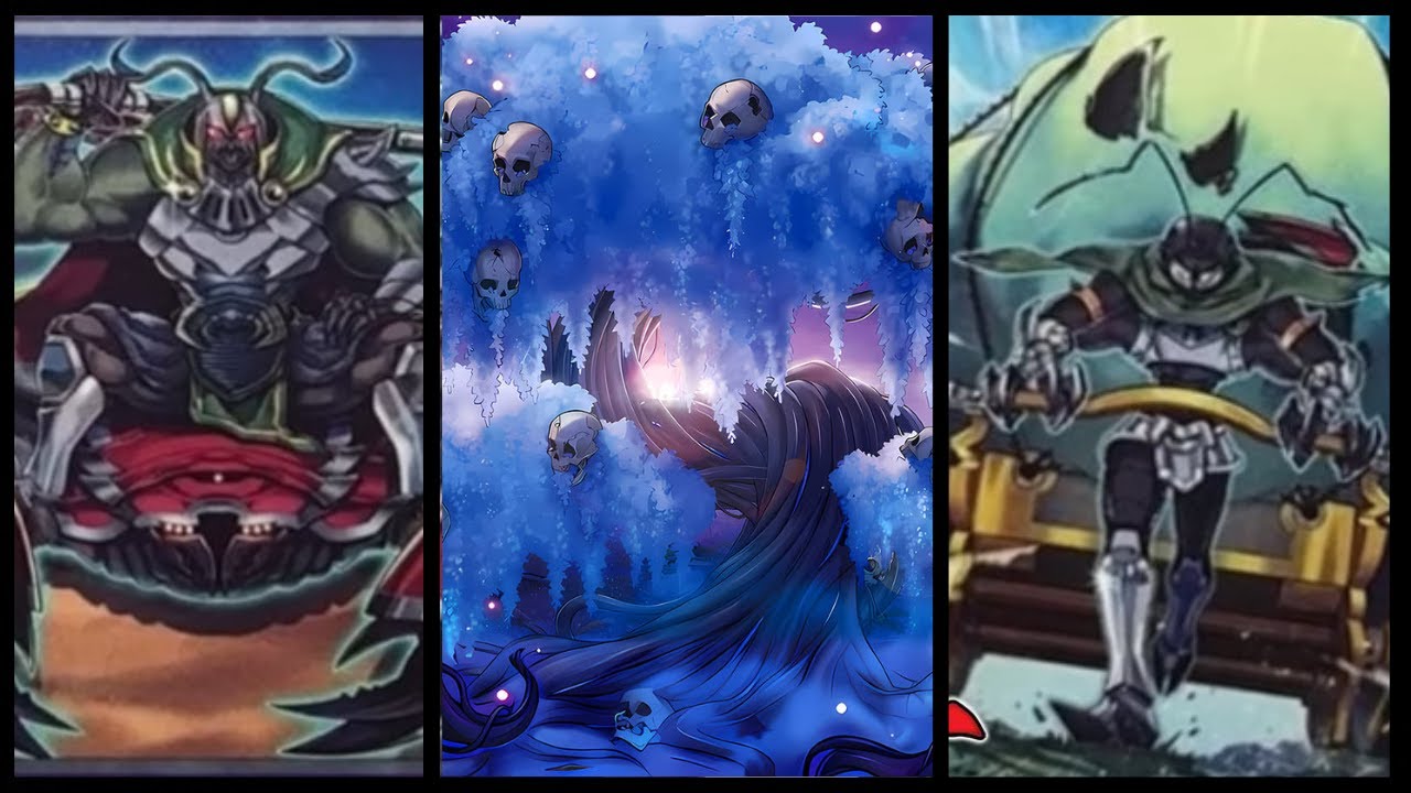 A quoi sert le nouveau support insecte exclu TCG ?! Post ROTA Decklist