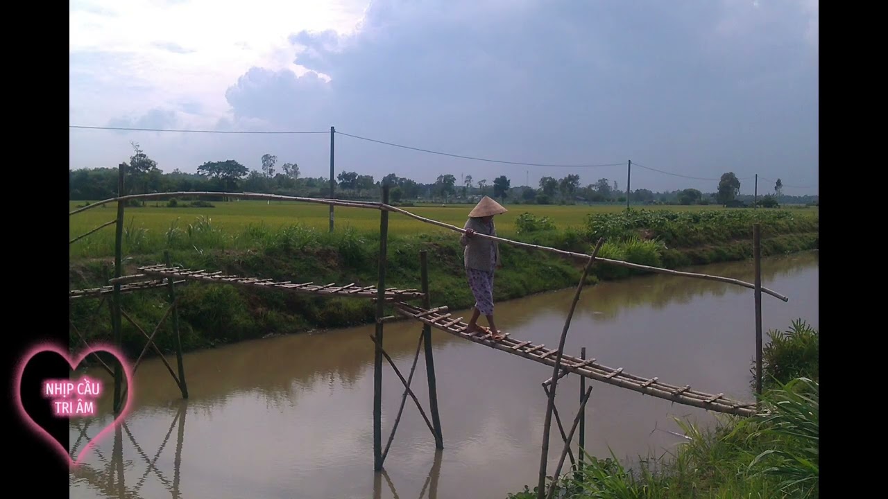NHỊP CẦU TRI ÂM