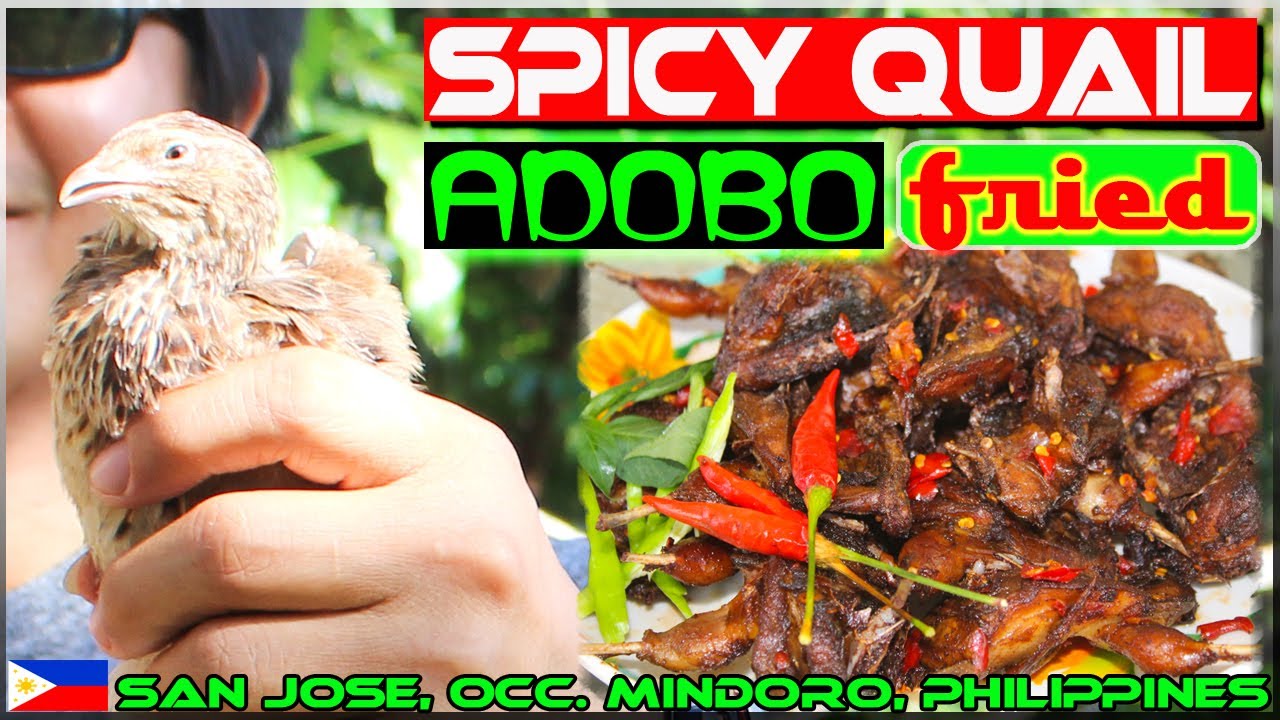 EP72 - Spicy Adobo Fried Quail (Pugo) | Occi. Mindoro
