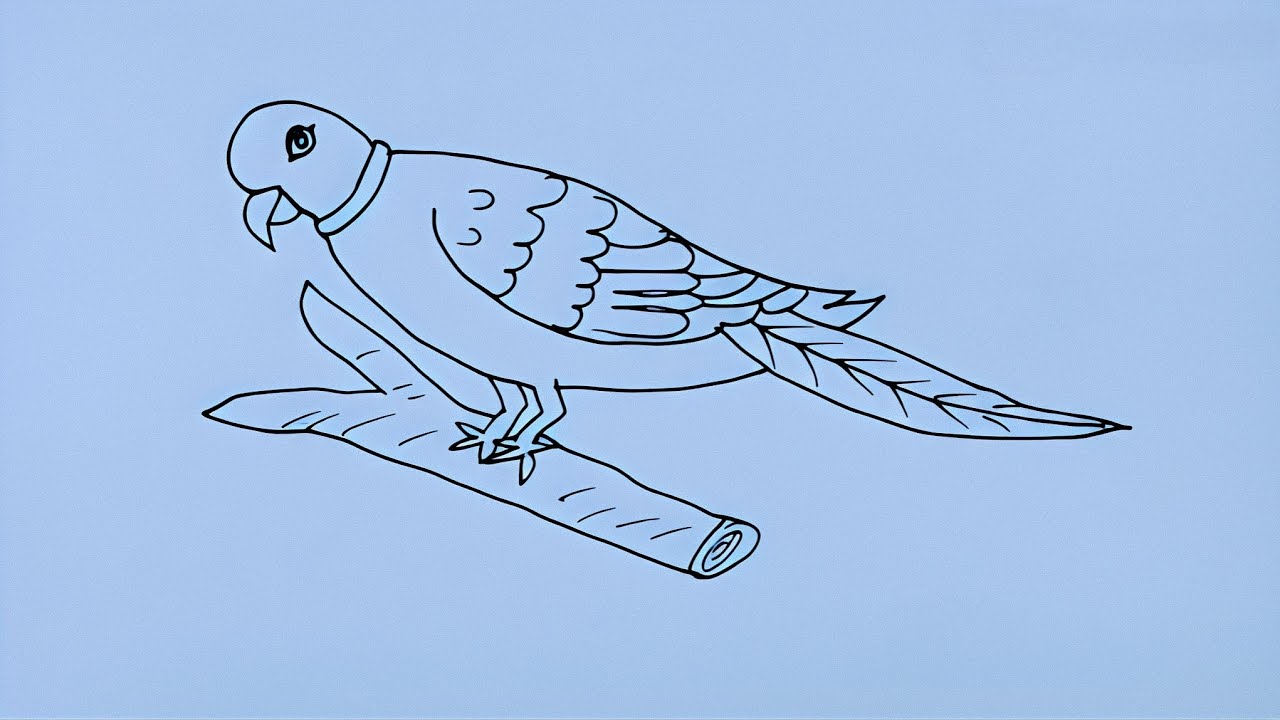 How to Draw Parrot | Parrot Easy Drawing || Bird Drawing