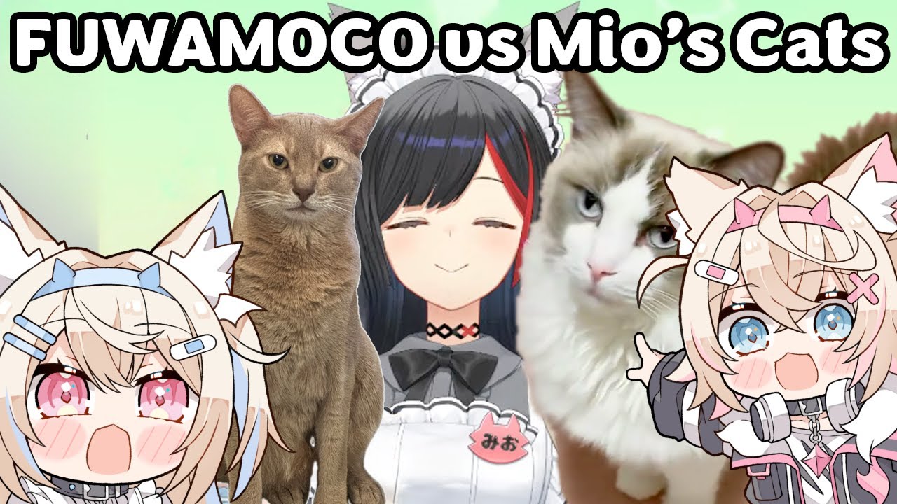FUWAMOCO meet Mio's cats and are too excited [Hololive Clip / FUWAMOCO / Ookami Mio]