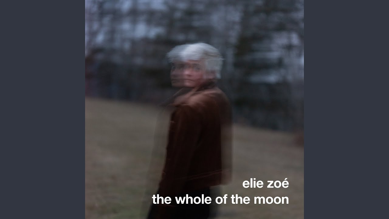 the whole of the moon