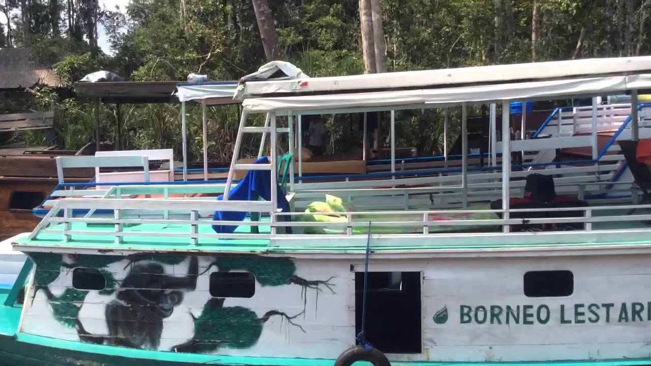 Klotoks, Tanjung Puting National Park, Kalimantan