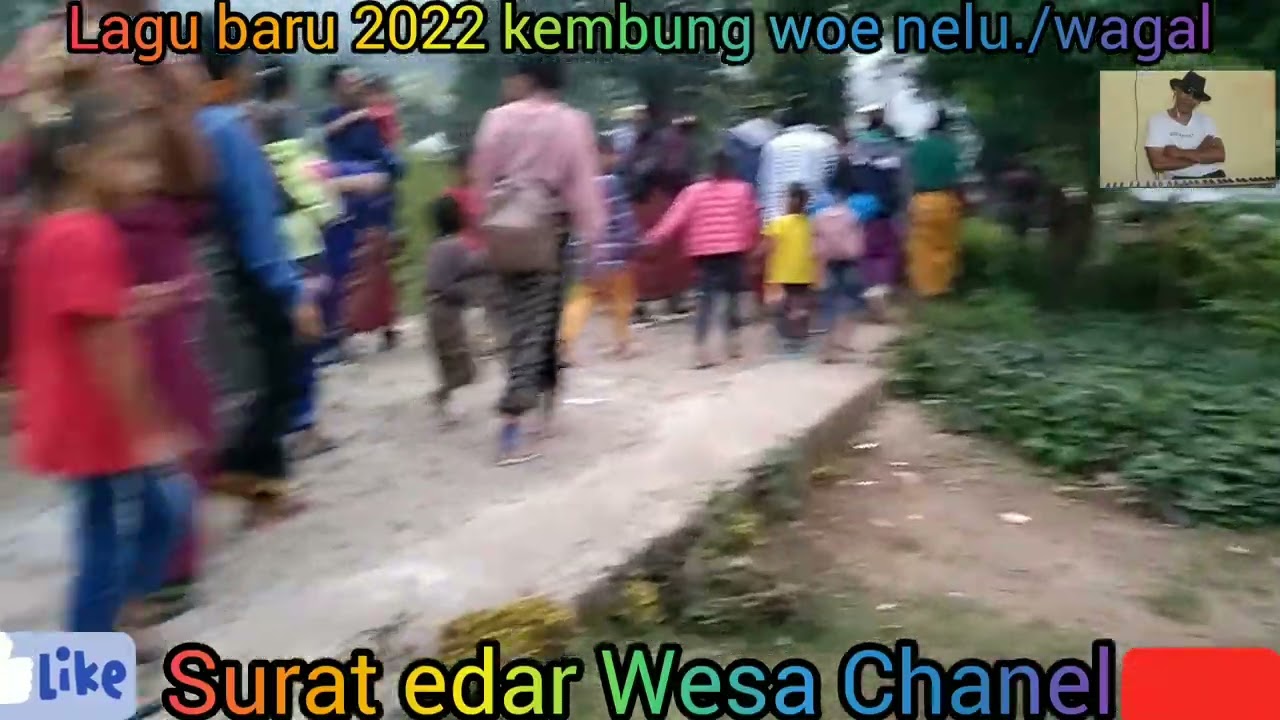 Lagu wagal Surat edar, tegi nggalas Nawa Amang.cip: surat edar.