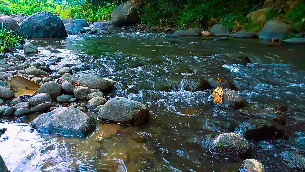RELAXING SOUNDS FOR SLEEPING | BEAUTIFUL FOREST STREAM IN NATURE FOR RELAXATION & MEDITATION #152