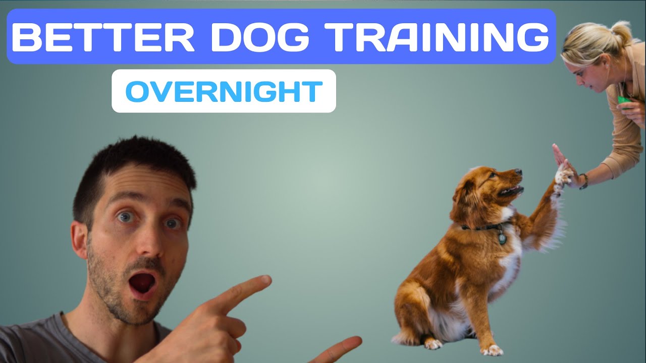 Become a [BETTER DOG TRAINER]