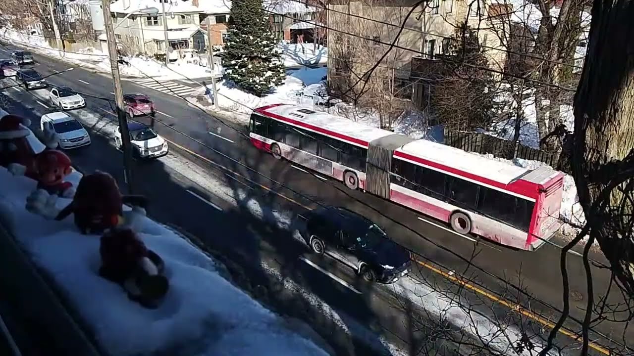 ASMR Toronto Canada Bathurst Street North view stream chat Live 7 bus watch party royal rumble